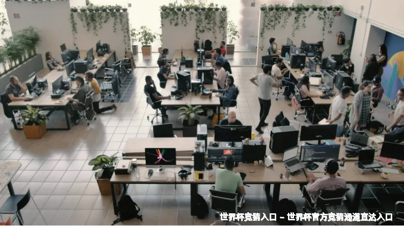 未来愿景与发展方向